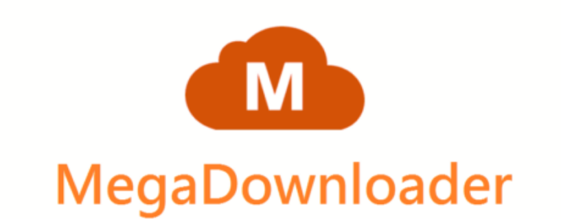 MegaDownloader + VPN