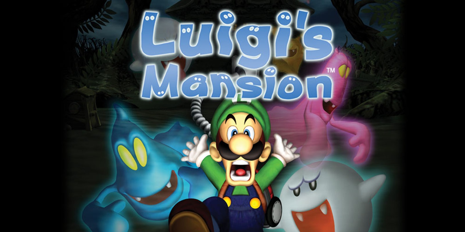 Luigis Mansion Gamecube