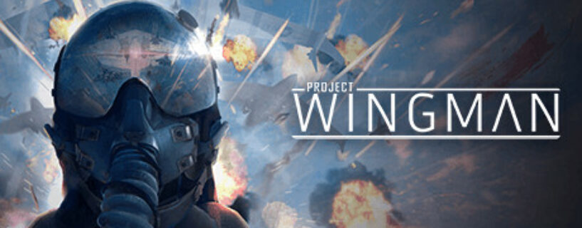 Project Wingman Pc