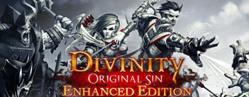 Divinity Original Sin Enhanced Edition Español Pc