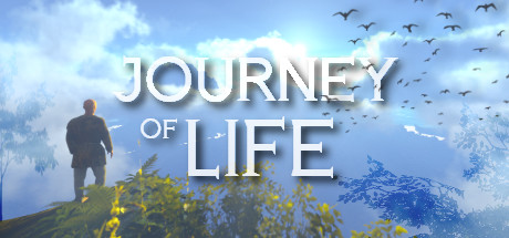Journey Of Life Pc