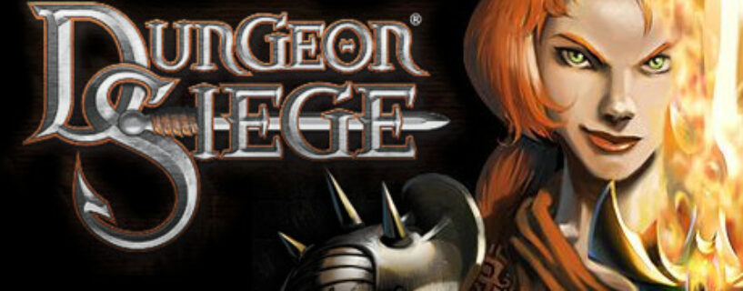 Dungeon Siege Español Pc