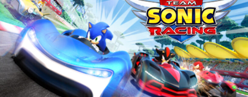 Team Sonic Racing + Online Español Pc
