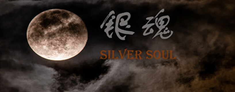Silver Soul Pc