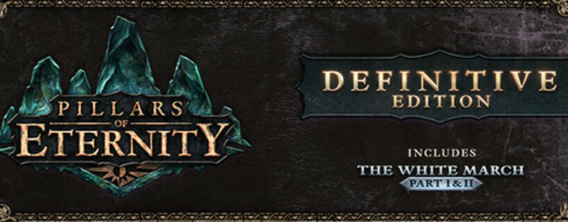 Pillars of Eternity Definitive Edition Español Pc