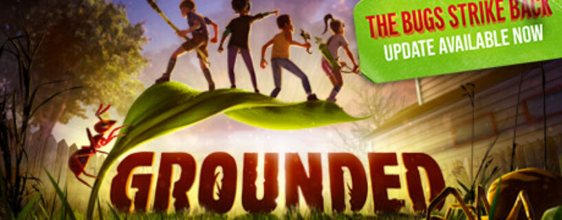Grounded + Online Español Pc