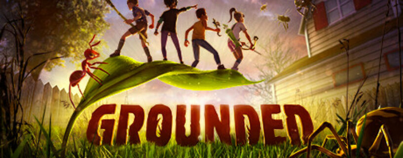 Grounded + Online Español Pc