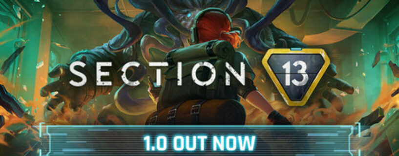 Section 13 Español Pc
